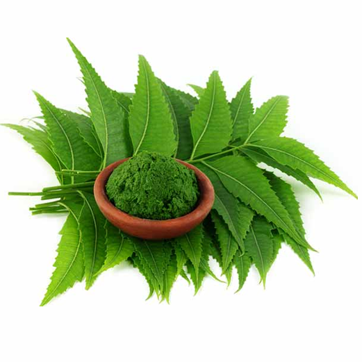 ആര്യവേപ്പ് പൊടി raghavaayurvedapharmacy