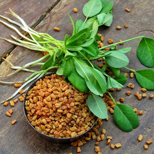 ഉലുവ raghavaayurvedapharmacy