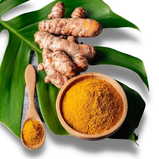 കസ്‌തൂരി മഞ്ഞൾ പൊടി raghavaayurvedapharmacy