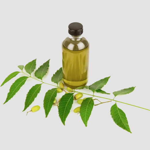 വേപ്പെണ്ണ raghavaayurvedapharmacy